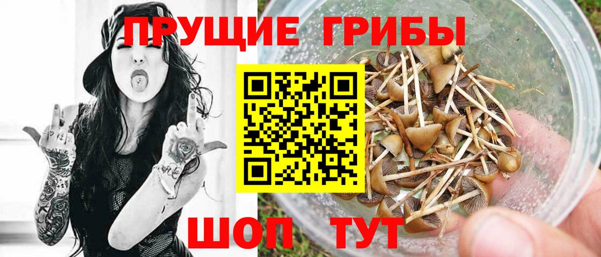 где купить наркотик  Псилоцибиновые грибы Psilocybe  Вход с VPN  Псилоцибиновые грибы Cubensis  Казань 